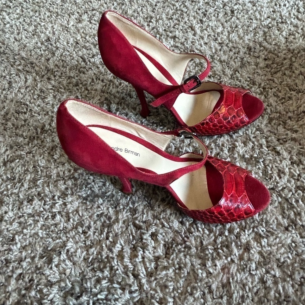 ALEXANDRE Birman Suede And Python Leather Ankle Strap Sandals Size 10 - Picture 9 of 9